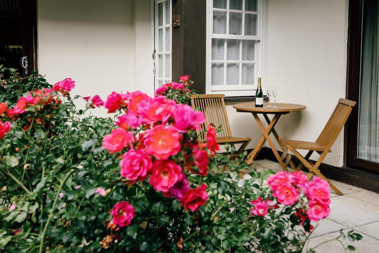 Galwad Y Mor Lejlighedshotel St Davids Eksteriør billede